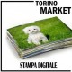 15 STAMPE 20X25 NE PAGHI SOLO 9 TORINO MARKET