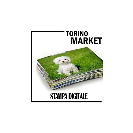 15 STAMPE 20X25 NE PAGHI SOLO 9 TORINO MARKET